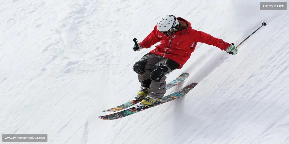 开云网址——🚣赛艇破浪，桨动星河！